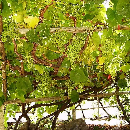 Villa Finca Luna